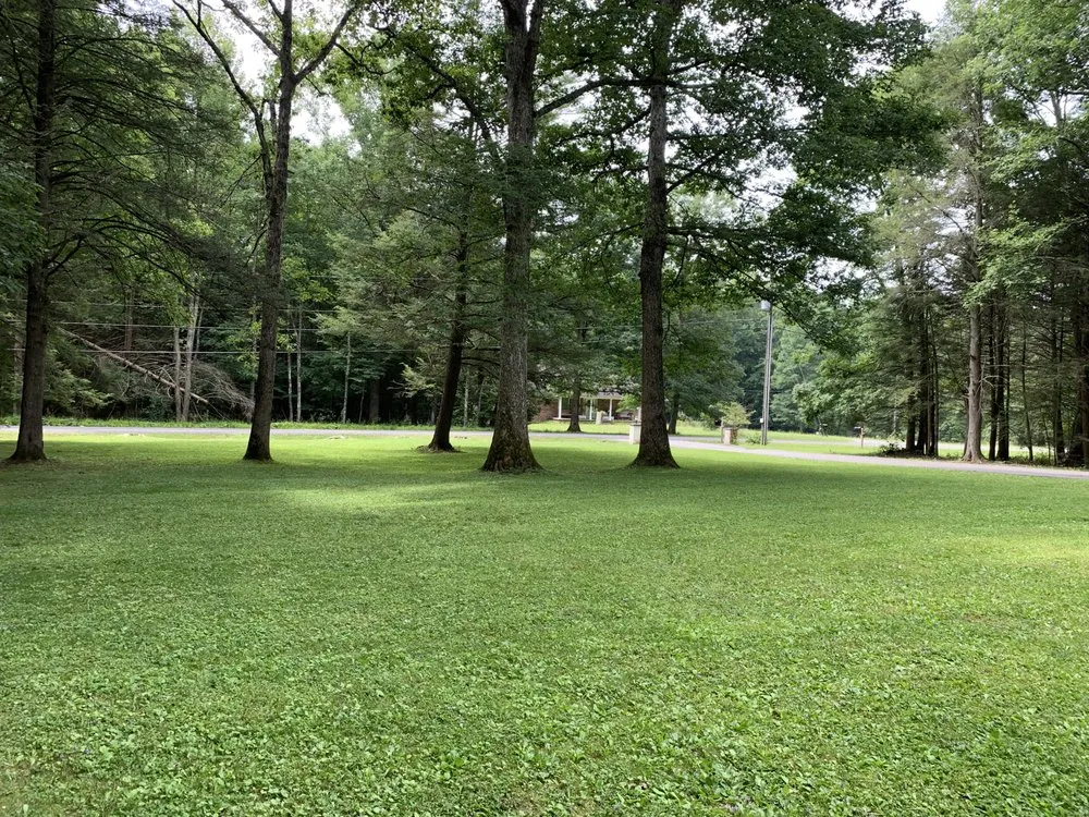 Custom lawn care service experts serving Mount Hope, WV - Chris Enterprises