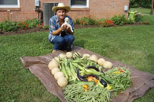 Expert lawn mowing service in Dayton, OH - Chris Green Landscaping