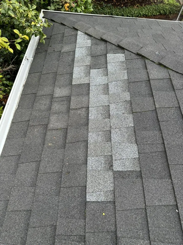 Affordable lawn mowing service experts serving San Leandro, CA - Chris Handyman