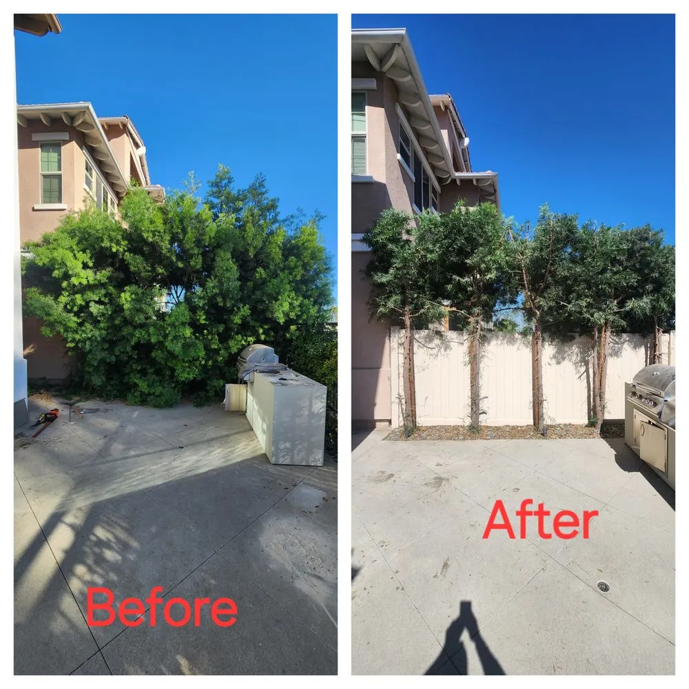 Custom landscaping services for outdoor upgrades in Paramount, CA by Chris' Handyman Services