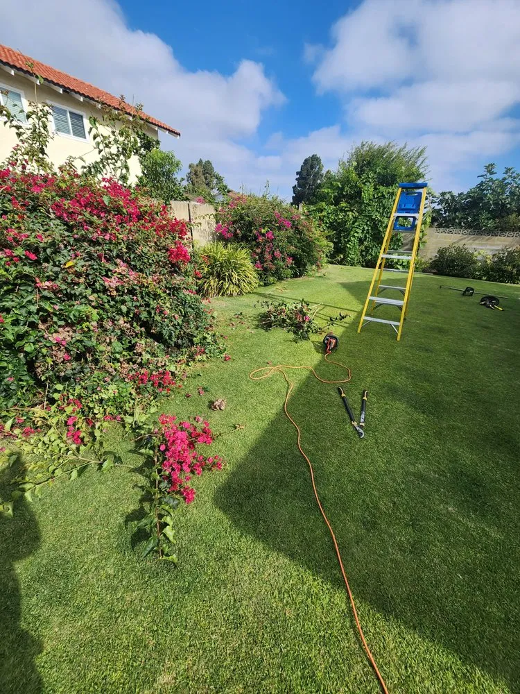 Local yard maintenance in Paramount, CA by Chris' Handyman Services