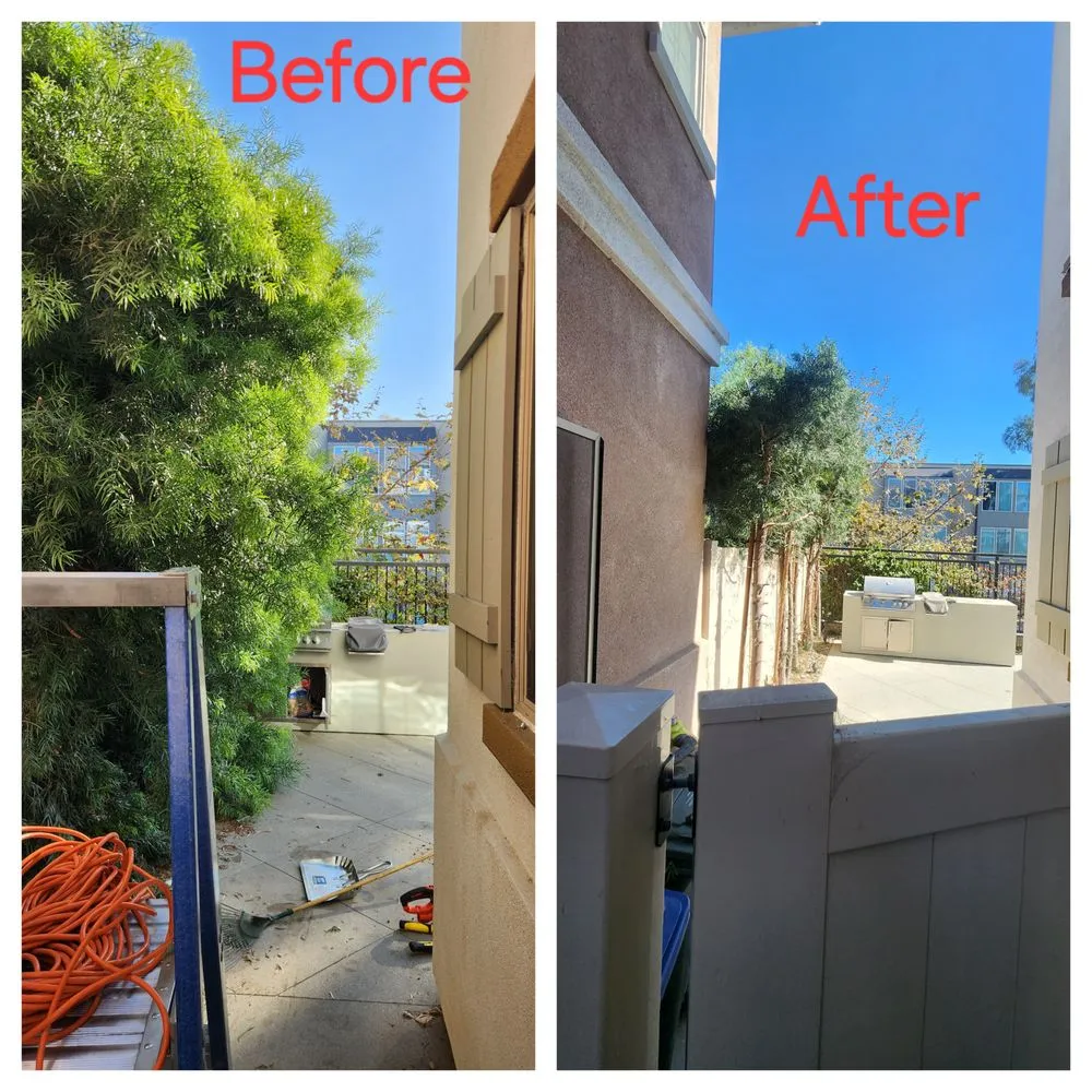 Top-rated landscape design in Paramount, CA - Chris' Handyman Services