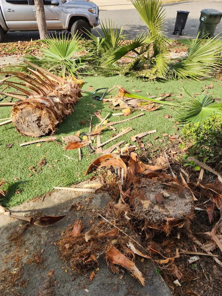 Trusted lawn care service in Paramount, CA by Chris' Handyman Services