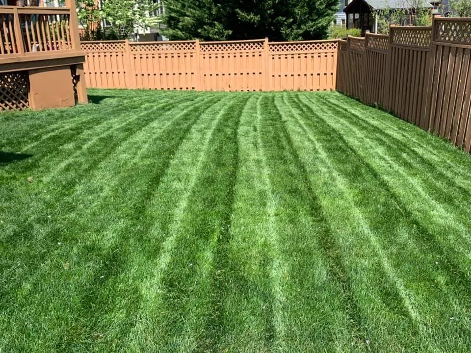 Reliable landscaping services near you in Newmanstown, PA by Chris Heisey’s Lawn Care