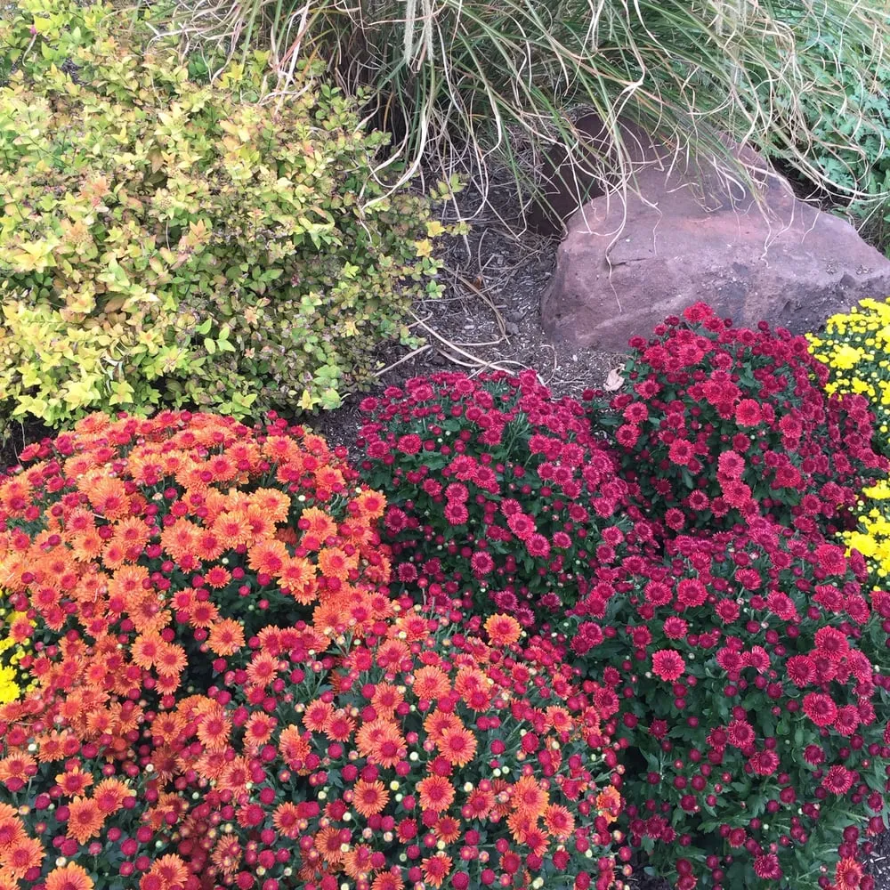 Affordable landscape design for residential properties across Waldwick, NJ - Chris James Landscaping