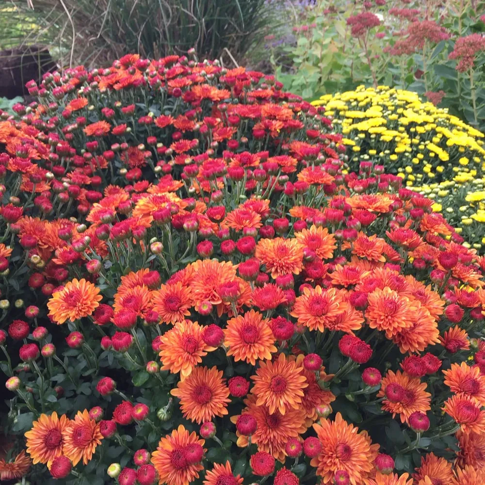 Local residential landscaping for homes across Waldwick, NJ - Chris James Landscaping