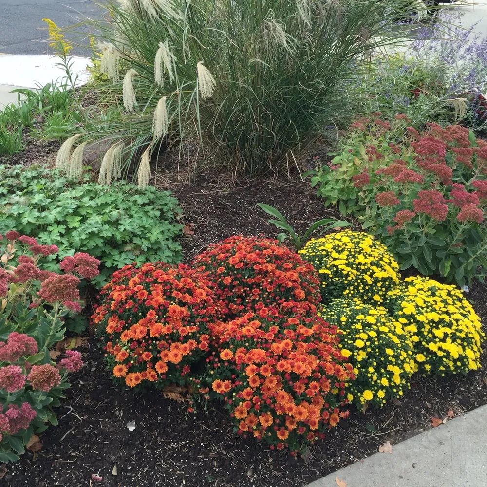 Affordable yard cleanup service near you across Waldwick, NJ - Chris James Landscaping