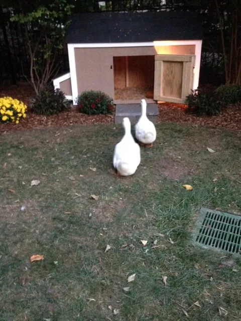 Professional yard maintenance for beautiful yards across Waldwick, NJ - Chris James Landscaping