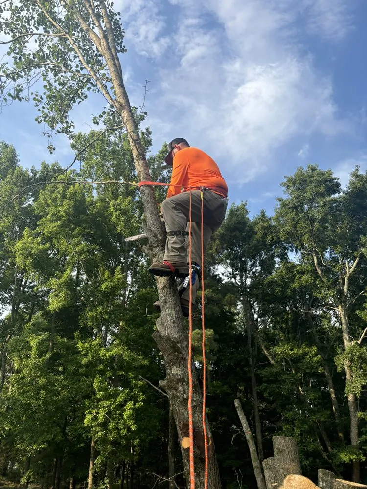 Expert outdoor landscaping in Zebulon, NC by Chris Jonson Lawn Care