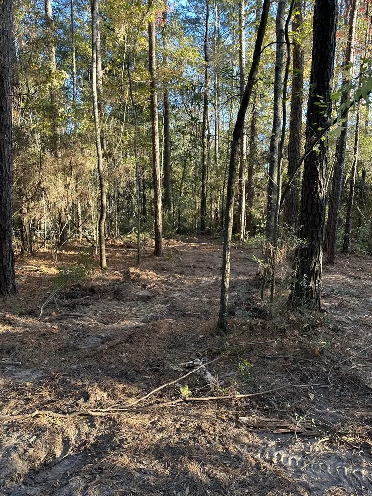 Custom yard cleanup service in Elba, AL by Chris’ Land Solutions