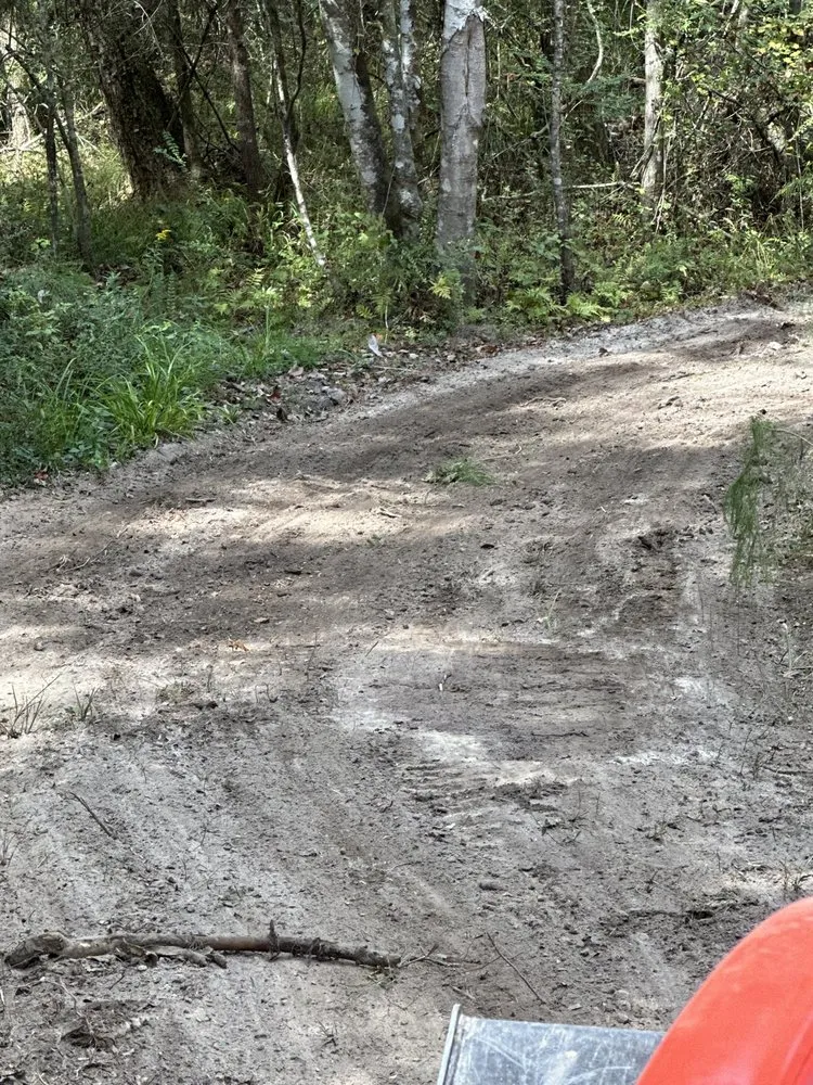 Reliable landscaping services for outdoor upgrades across Elba, AL - Chris’ Land Solutions