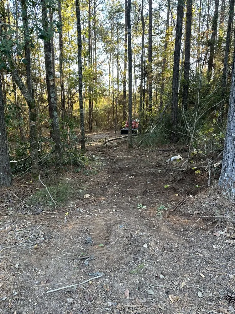 Local yard maintenance for year-round maintenance across Elba, AL - Chris’ Land Solutions