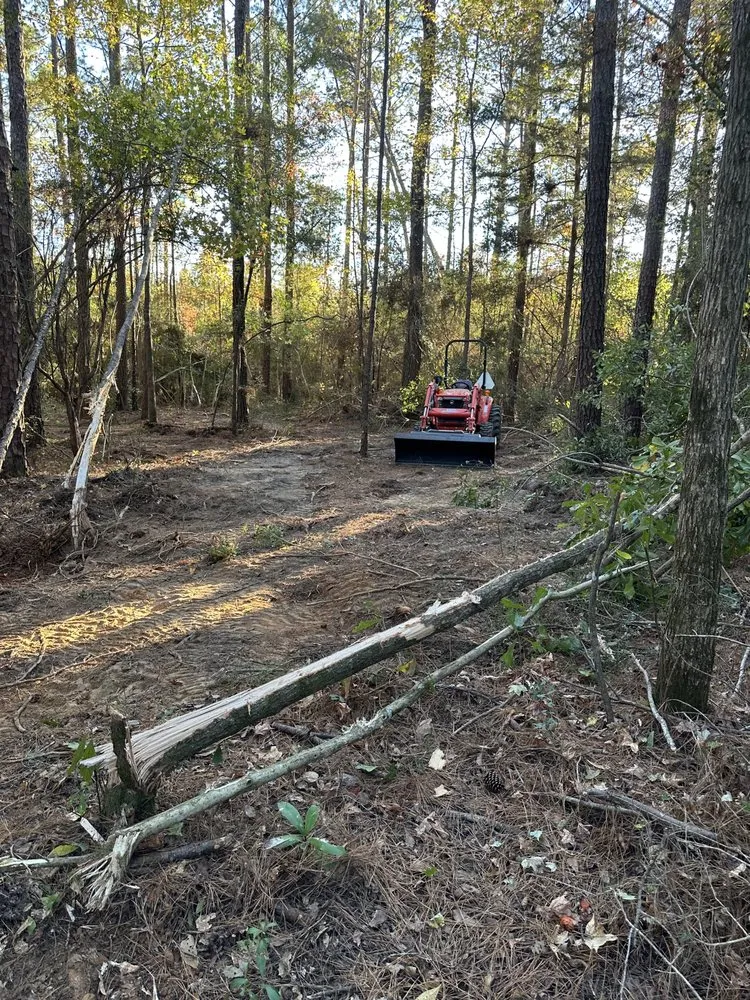 Professional yard maintenance experts serving Elba, AL - Chris’ Land Solutions