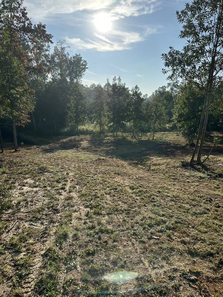 Reliable yard cleanup service experts serving Elba, AL - Chris’ Land Solutions