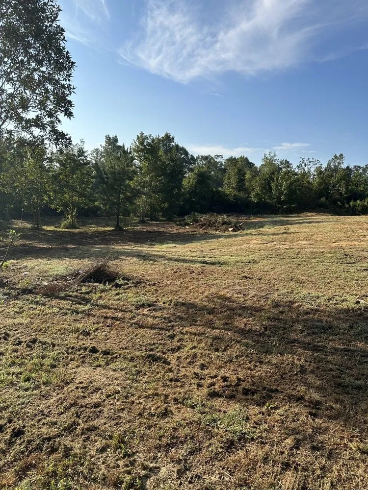 Affordable lawn mowing service experts serving Elba, AL - Chris’ Land Solutions