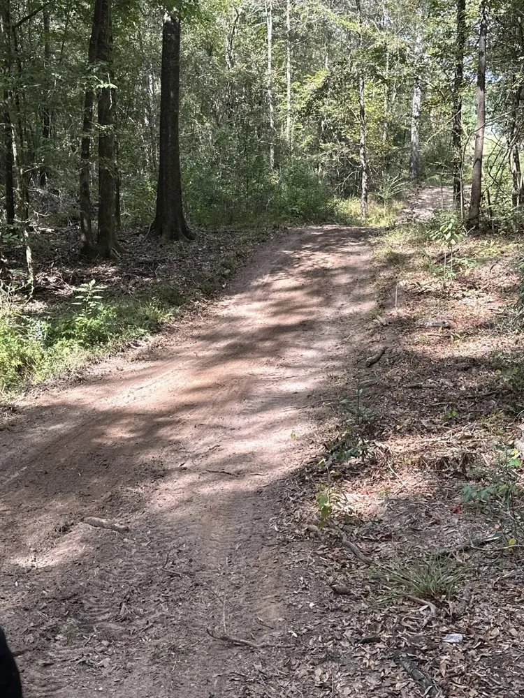 Custom yard cleanup service for year-round maintenance in Elba, AL by Chris’ Land Solutions