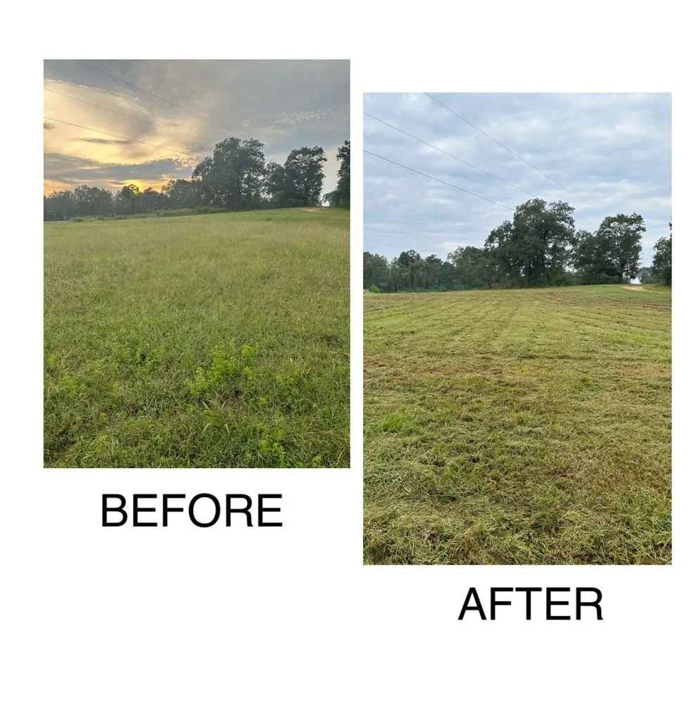 Top-rated garden landscaping experts serving Elba, AL - Chris’ Land Solutions