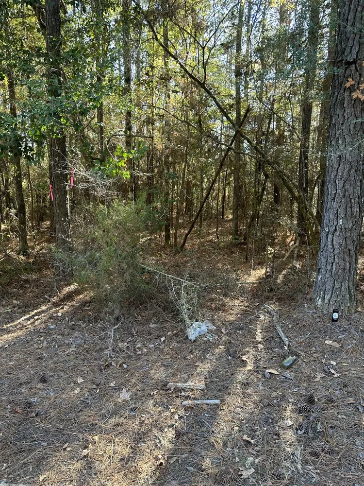 Trusted yard cleanup service for outdoor upgrades in Elba, AL by Chris’ Land Solutions