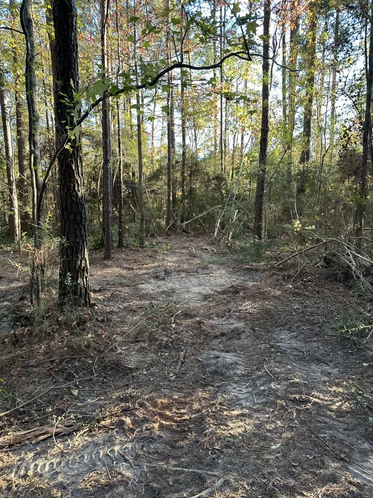 Top-rated landscaping services for homes across Elba, AL - Chris’ Land Solutions