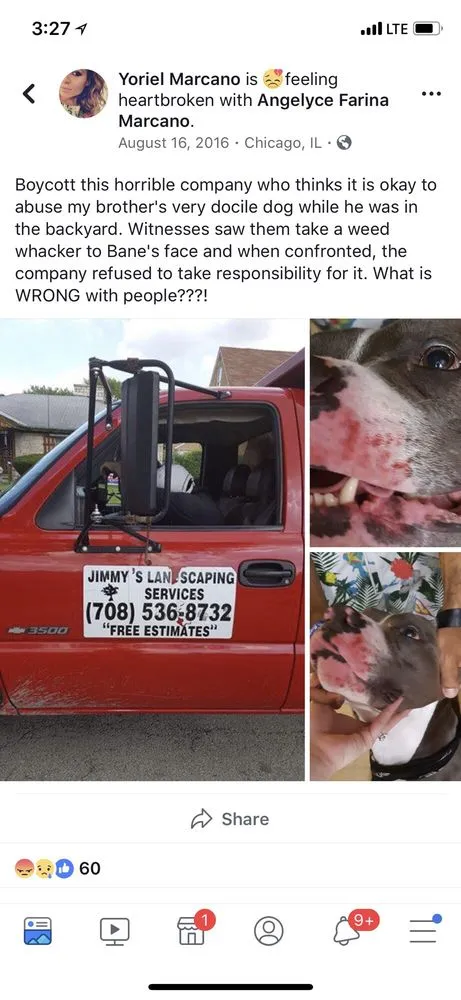 Custom landscape design near you in Niles, IL by Chris' Landscape