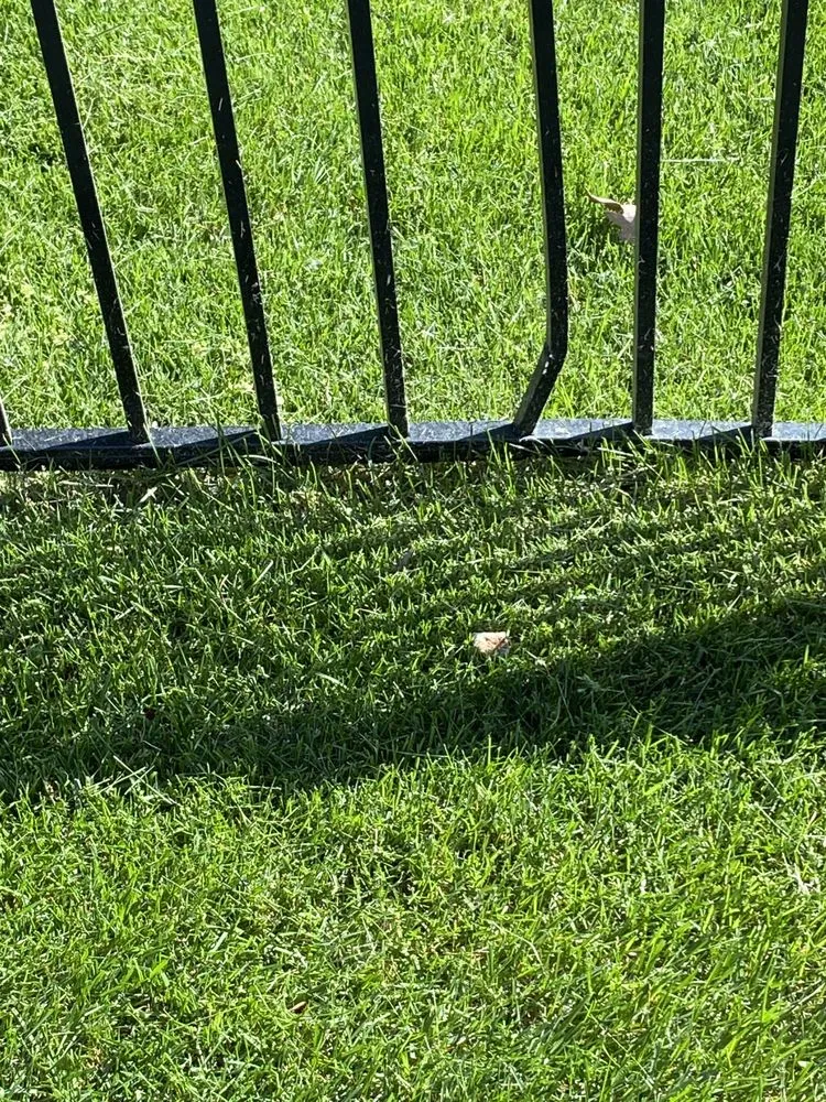 Reliable landscape installation in Niles, IL by Chris' Landscape