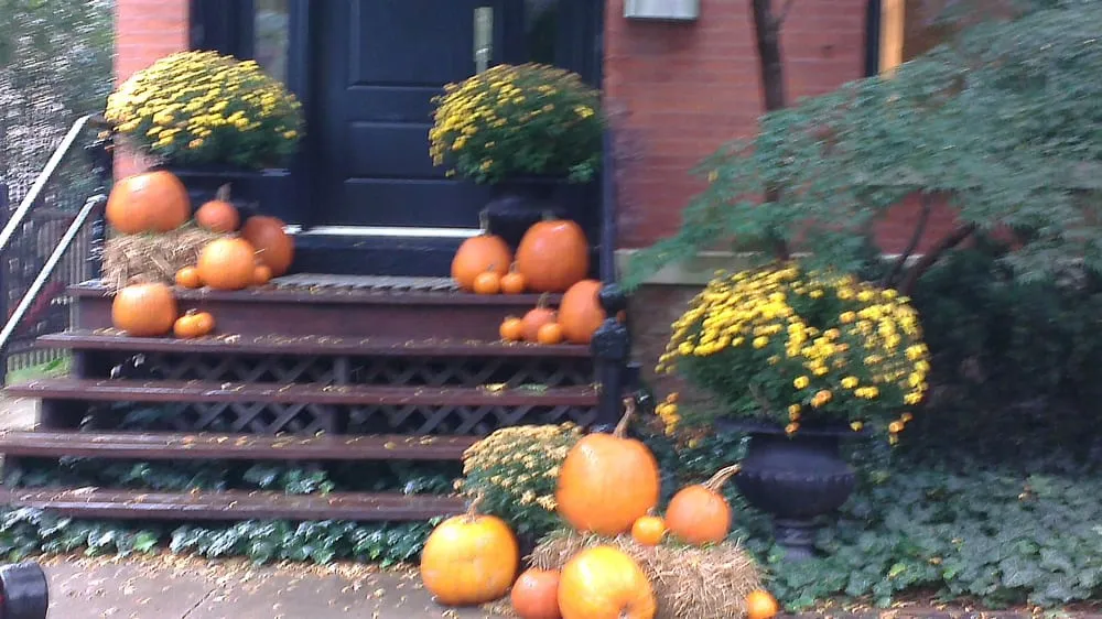 Affordable landscape design in Niles, IL by Chris' Landscape