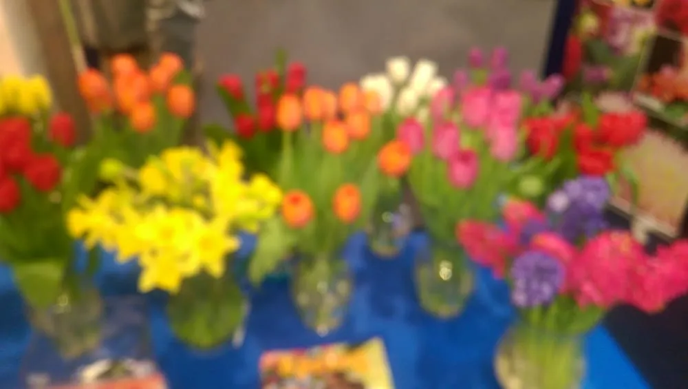 Local landscape installation in Niles, IL by Chris' Landscape