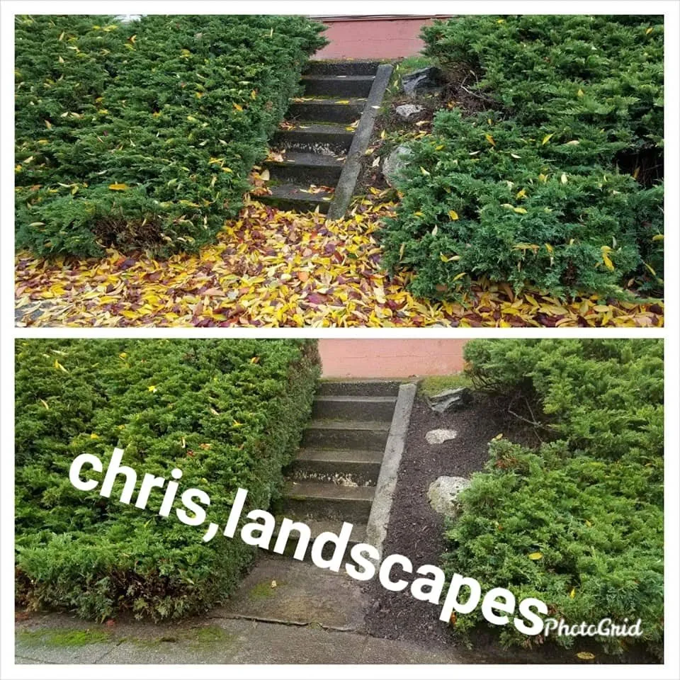 Custom residential landscaping for year-round maintenance in Auburn, WA by Chris Landscaping & Maintenance