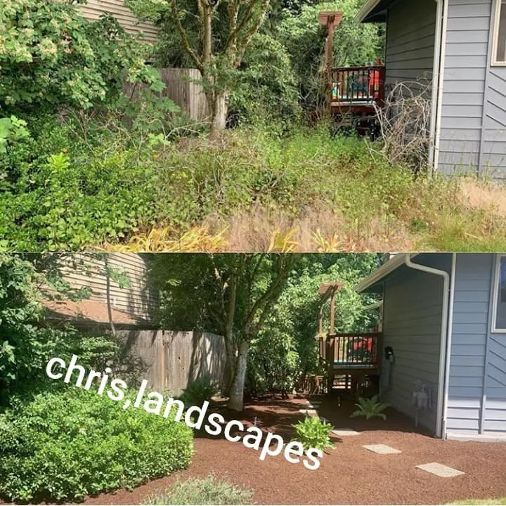 Affordable yard maintenance experts serving Auburn, WA - Chris Landscaping & Maintenance