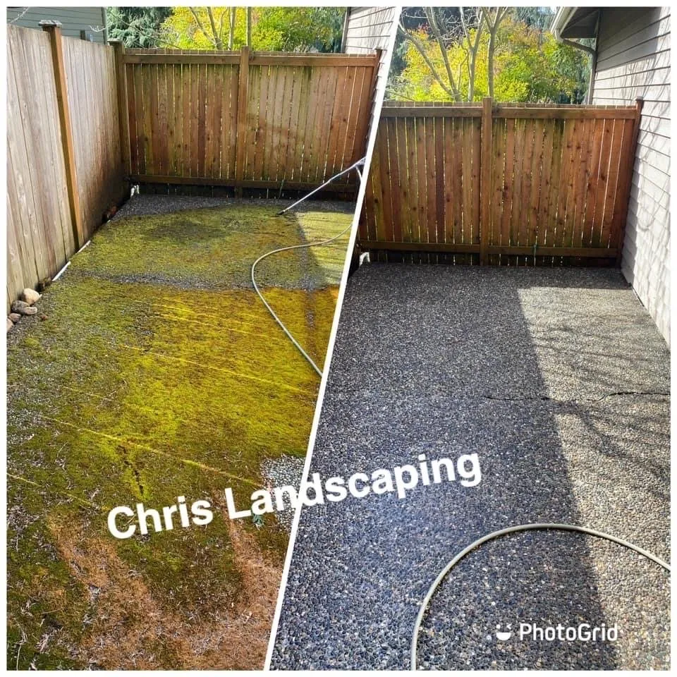 Expert lawn care service in Auburn, WA - Chris Landscaping & Maintenance