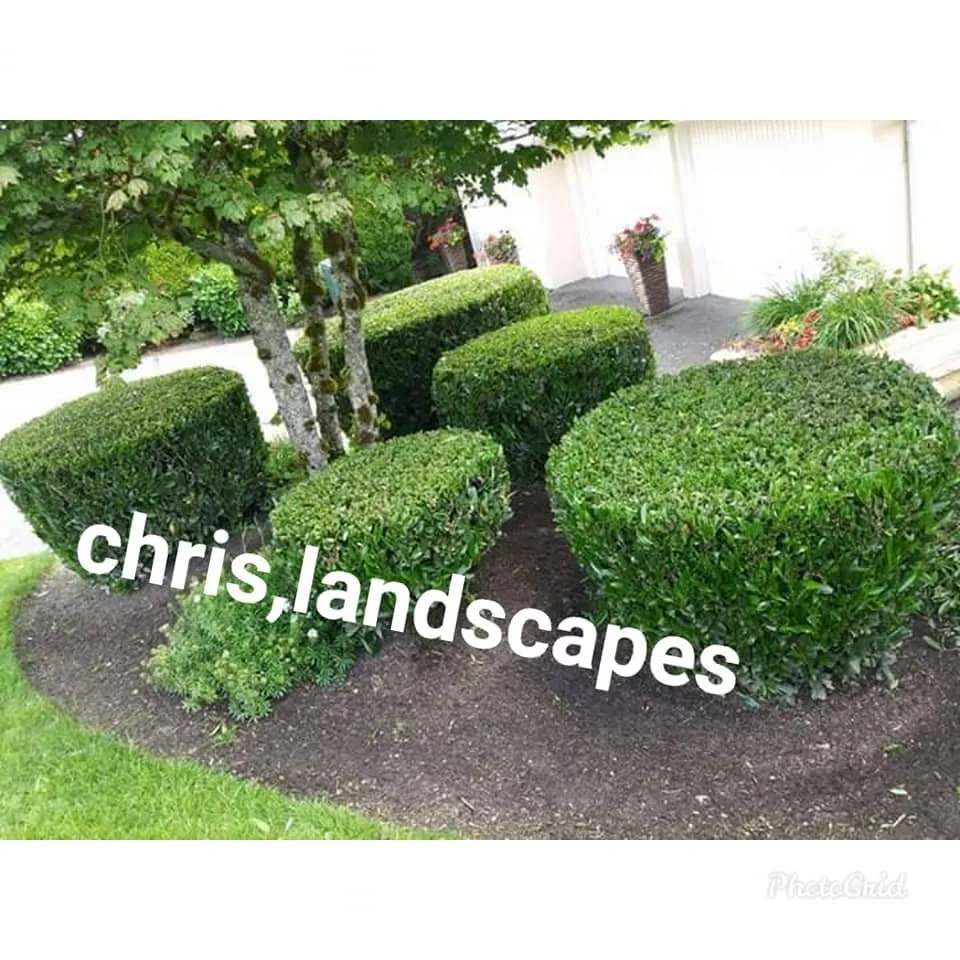 Reliable residential landscaping for outdoor upgrades in Auburn, WA by Chris Landscaping & Maintenance