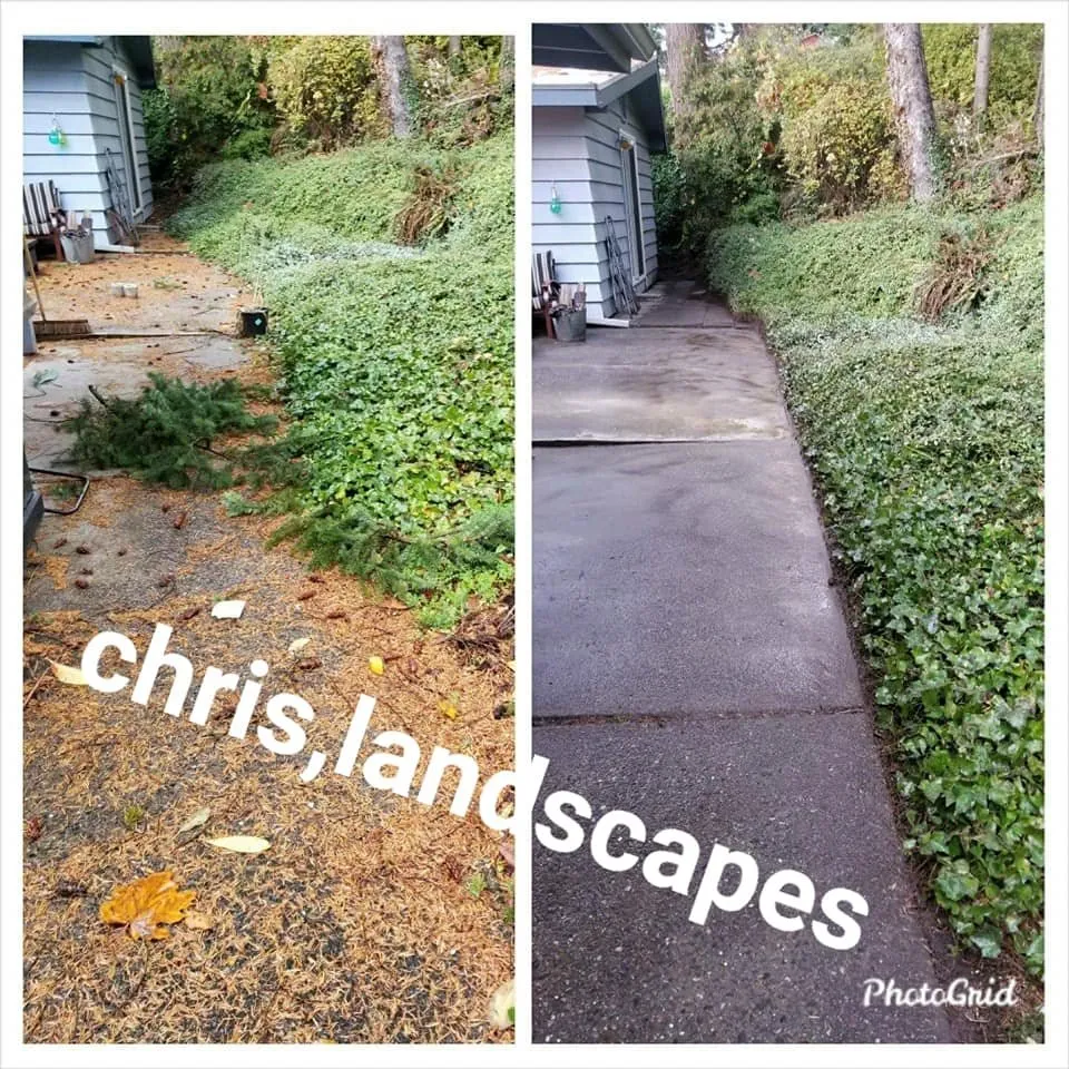 Affordable landscape design in Auburn, WA - Chris Landscaping & Maintenance