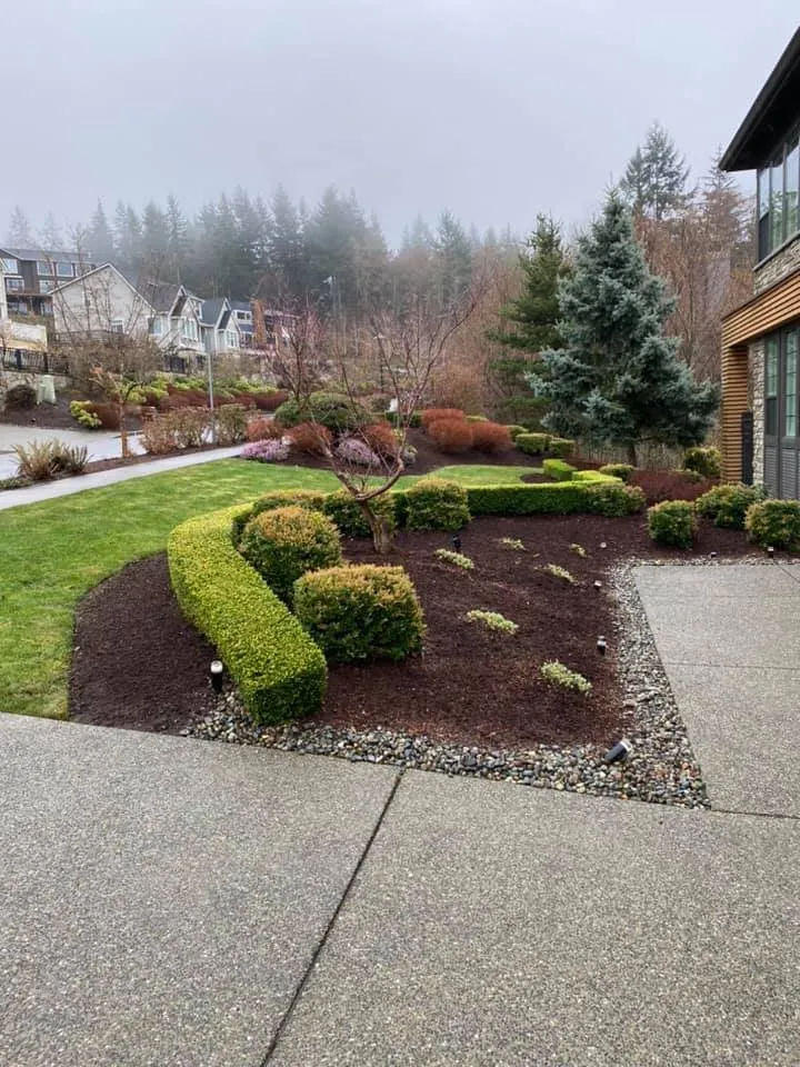 Custom lawn care service experts serving Auburn, WA - Chris Landscaping & Maintenance