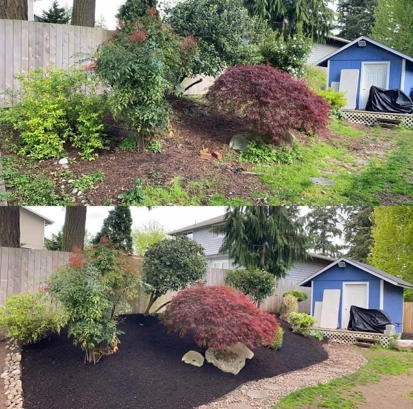 Professional yard maintenance for beautiful yards in Auburn, WA by Chris Landscaping & Maintenance
