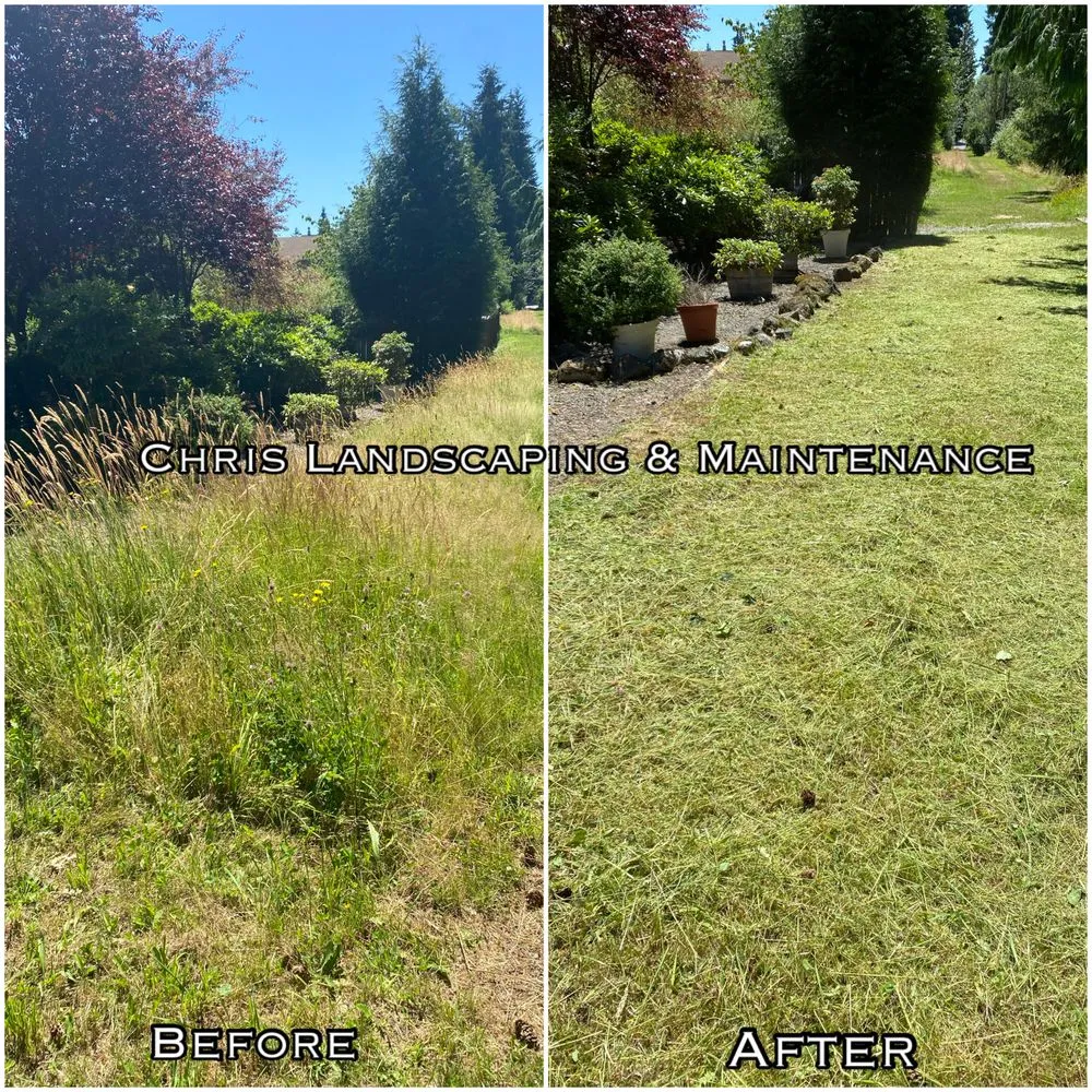 Affordable lawn care service in Auburn, WA - Chris Landscaping & Maintenance