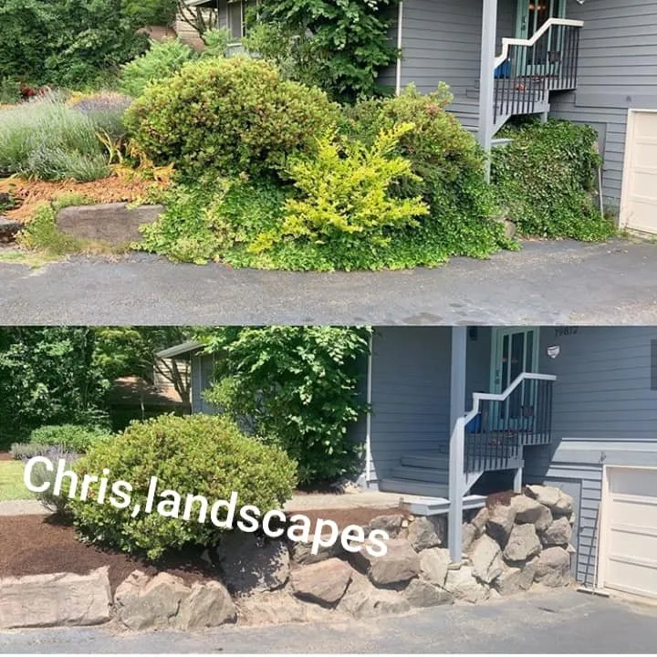 Professional yard maintenance in Auburn, WA by Chris Landscaping & Maintenance