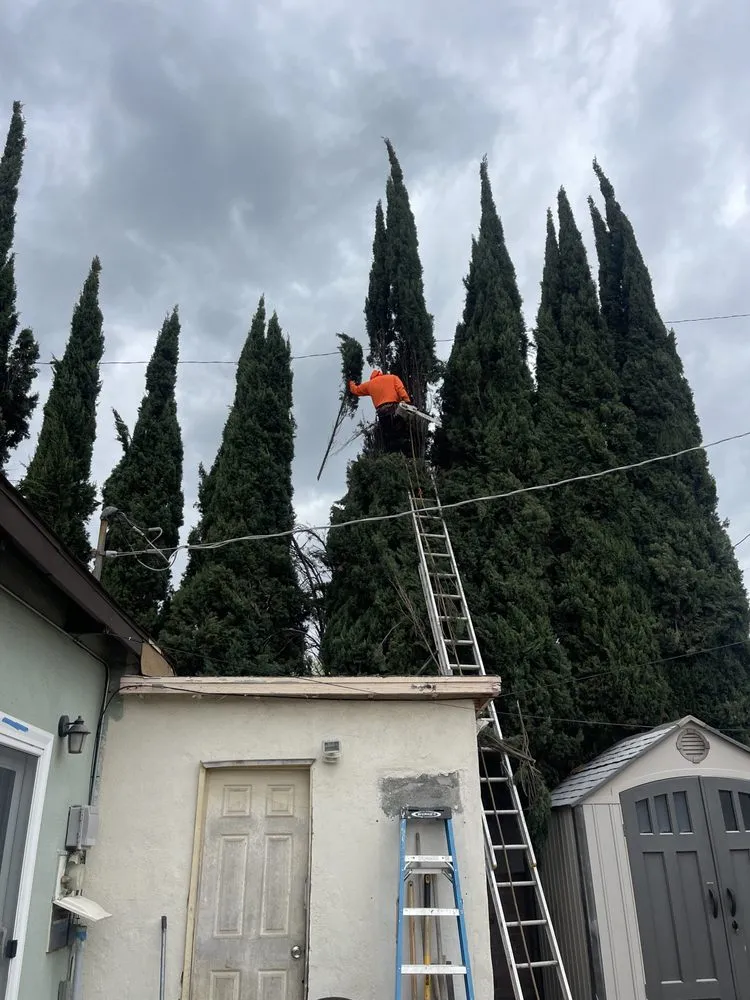 Local garden landscaping near you in Ontario, CA by Chris Landscaping