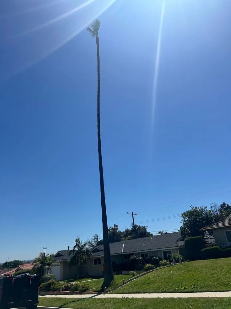 Professional lawn care service in Ontario, CA by Chris Landscaping