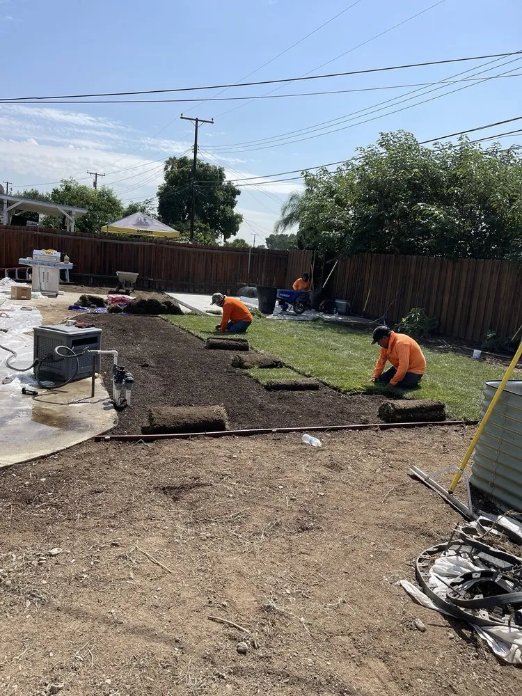 Top-rated yard maintenance in Ontario, CA - Chris Landscaping