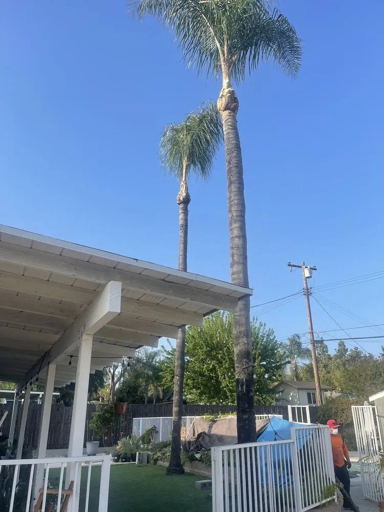 Custom yard cleanup service for beautiful yards across Ontario, CA - Chris Landscaping