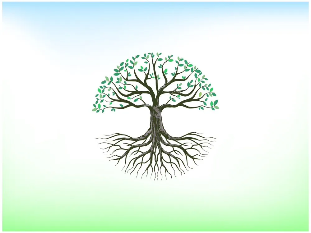 Top-rated yard maintenance with custom design across Ontario, CA - Chris Landscaping