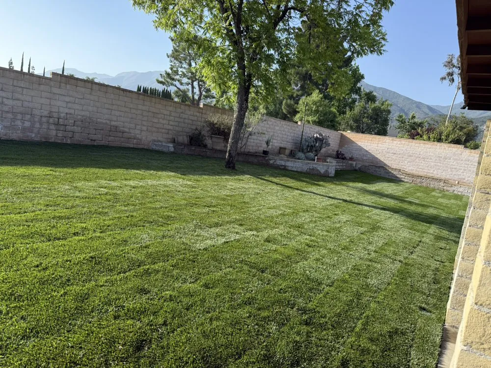 Professional lawn mowing service for outdoor upgrades across Ontario, CA - Chris Landscaping