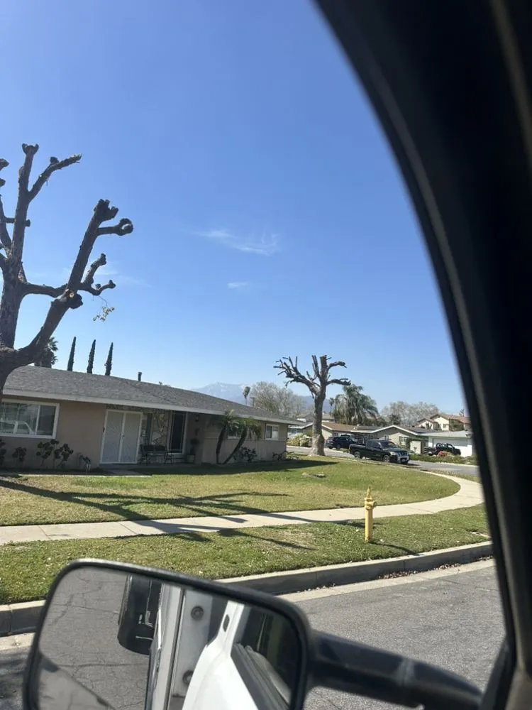 Affordable yard maintenance for beautiful yards in Ontario, CA by Chris Landscaping