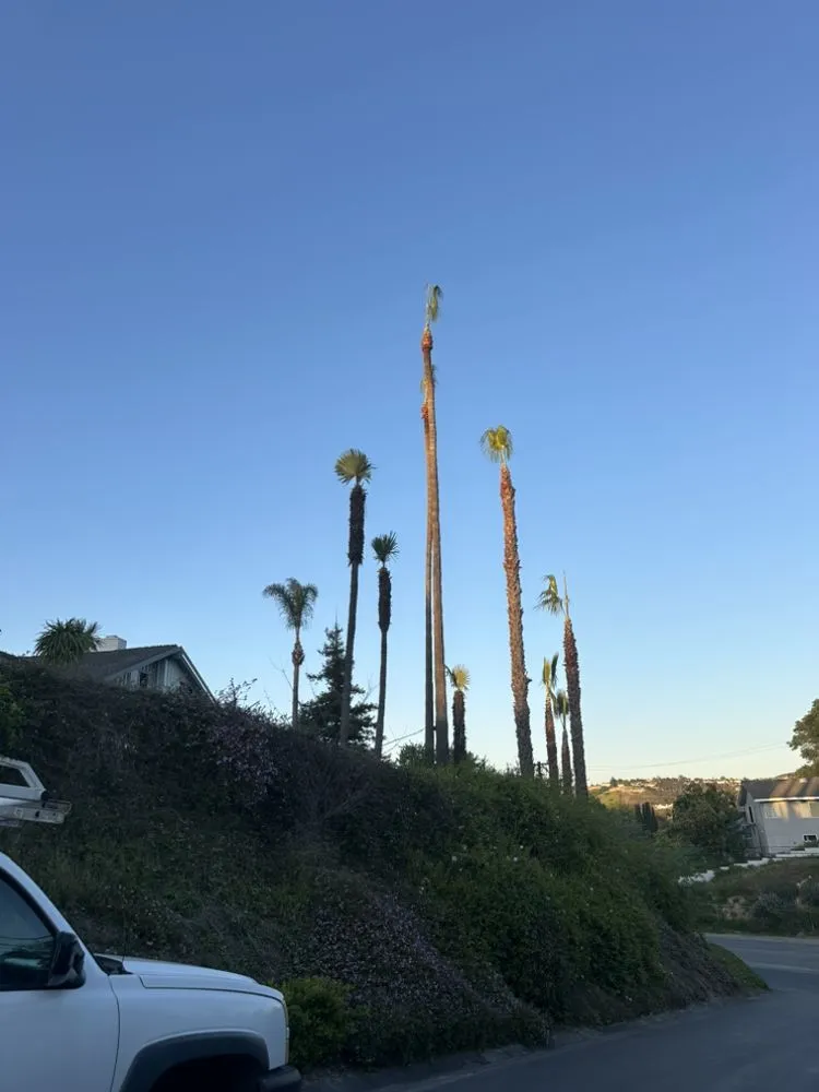 Professional outdoor landscaping for residential properties across Ontario, CA - Chris Landscaping