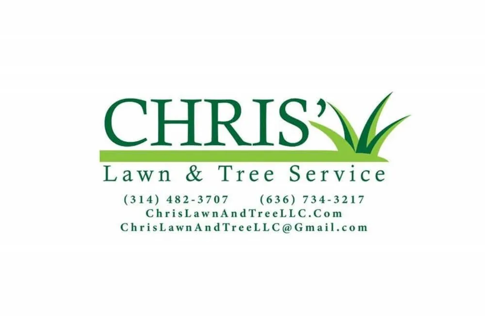 Expert yard cleanup service in Lake St Louis, MO by Chris' Lawn And Tree Service