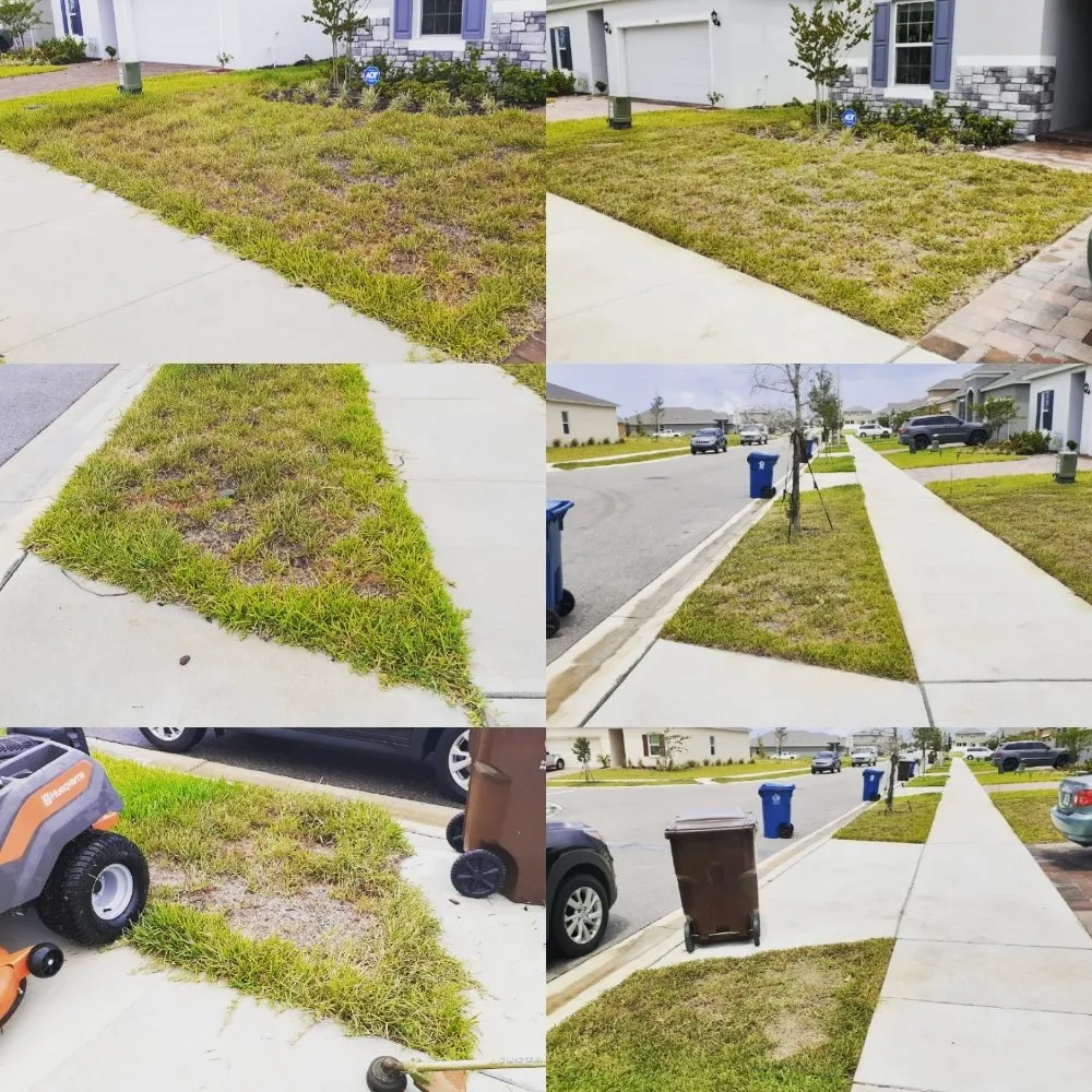 Professional landscaping services experts serving Davenport, FL - Chris' Lawn Care Services