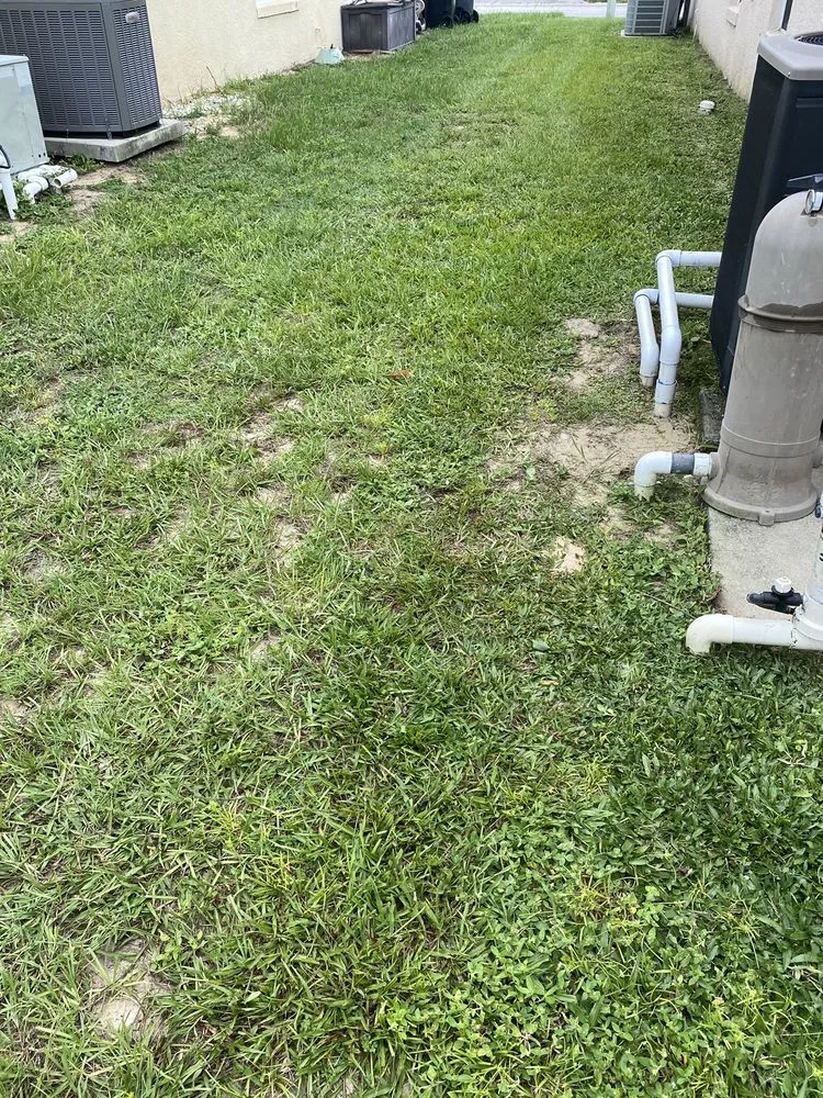 Local yard cleanup service with custom design in Davenport, FL by Chris' Lawn Care Services