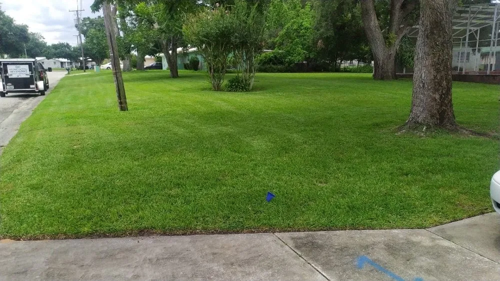 Top-rated landscape installation for homes across Davenport, FL - Chris' Lawn Care Services