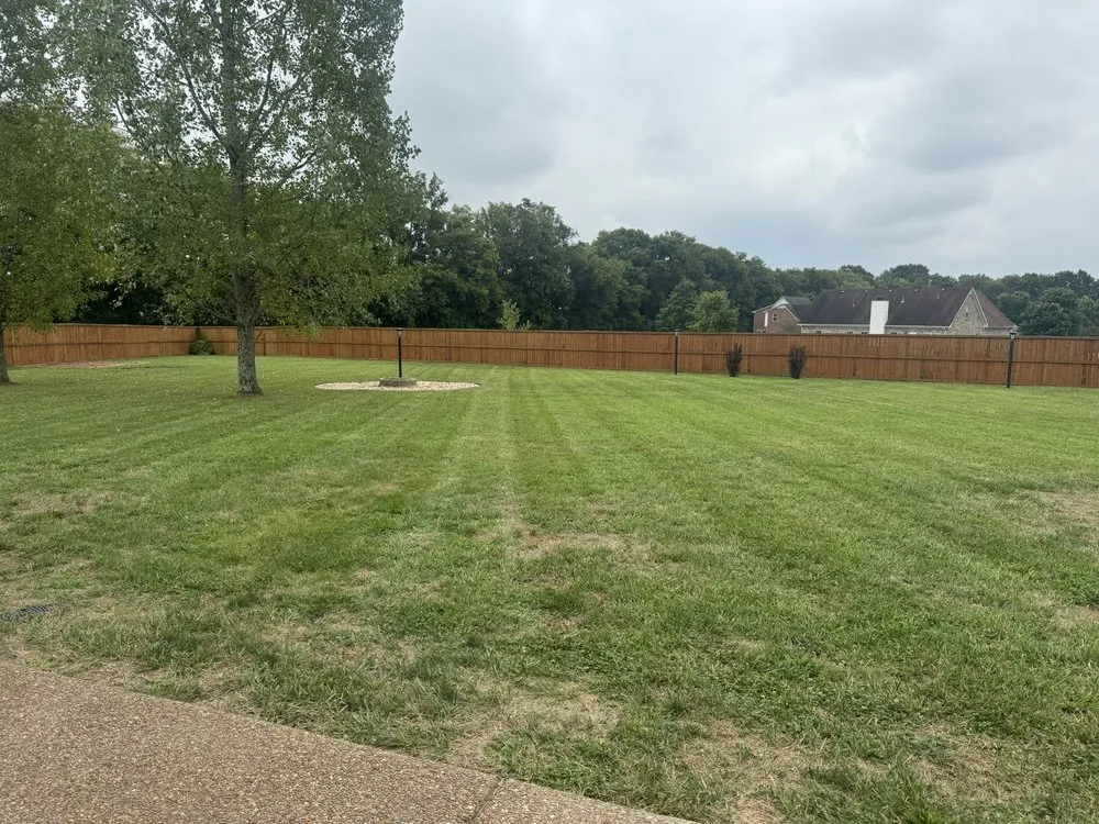Affordable lawn care service experts serving Louisville, KY - Chris Lawn Care Services