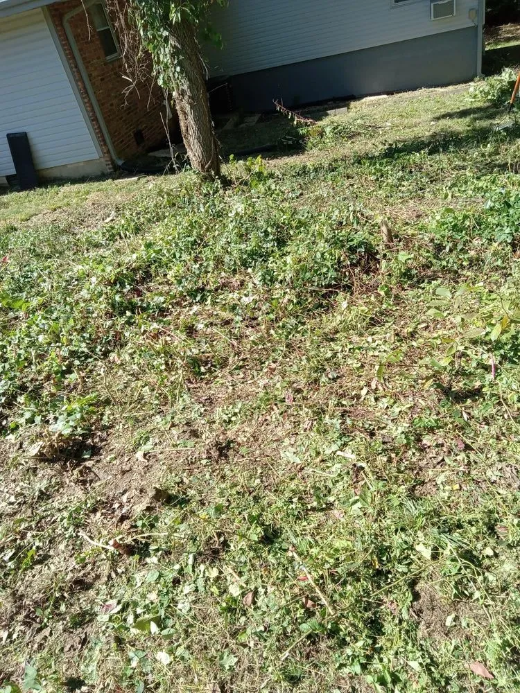 Professional outdoor landscaping with custom design across Muscle Shoals, AL - Chris Lawn Services